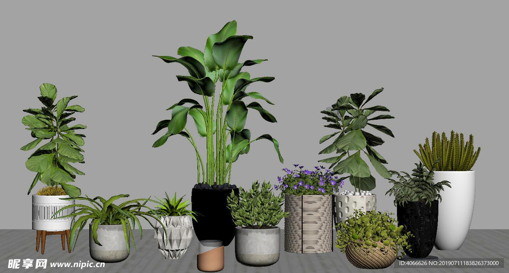 绿植盆栽3d组合模型