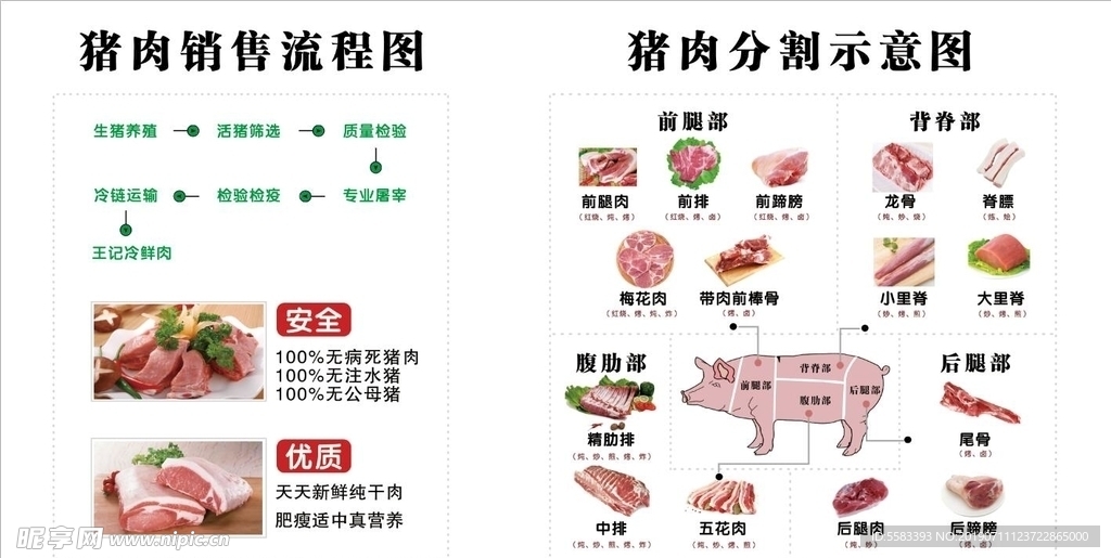 猪肉分割图