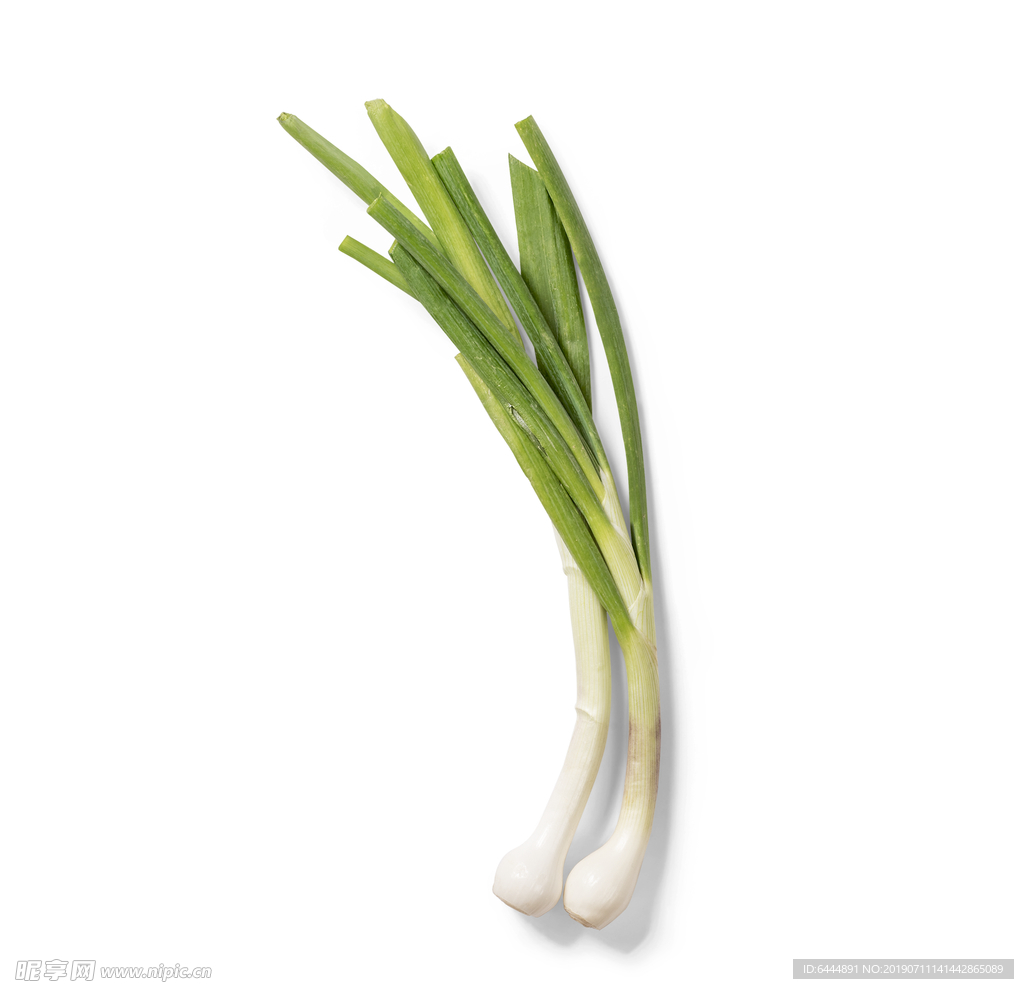 葱