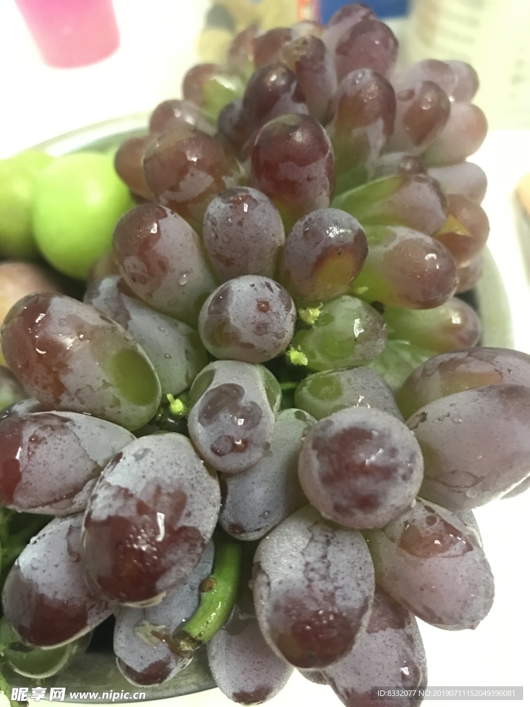 葡萄