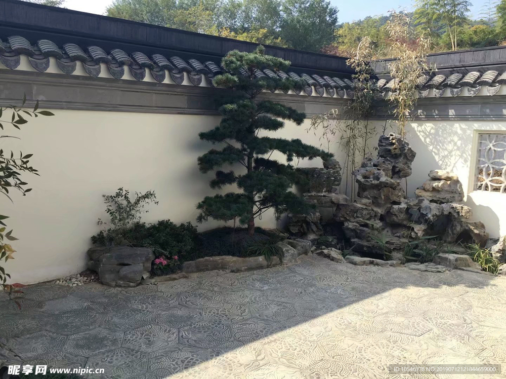庭院