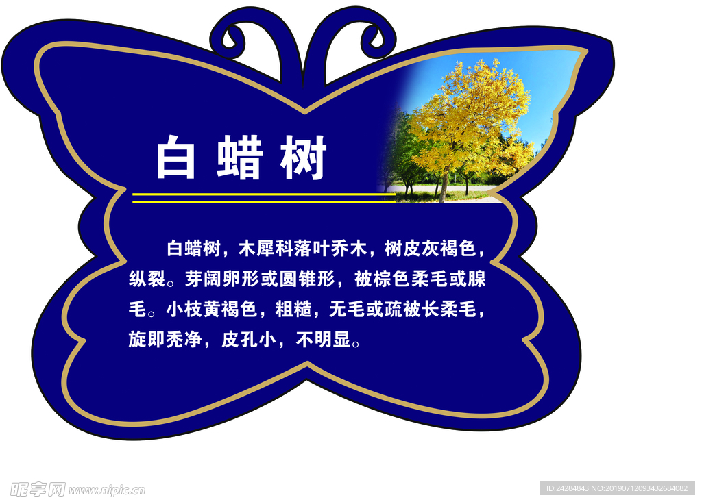 树牌