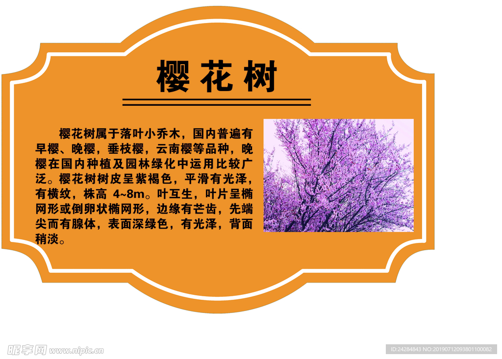 树牌