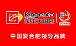 金正大