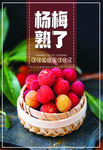 杨梅熟了