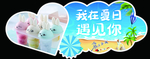 夏日
