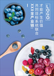 蓝莓葡萄店内展示清新海报