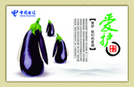 食堂文化