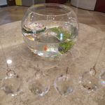 水晶和金鱼缸