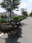 鸬鹚与船