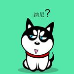 哈士奇