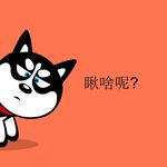 哈士奇