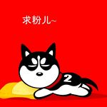 哈士奇
