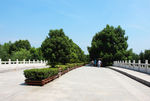 湿地公园