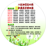圆形八礼四仪