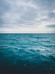 海