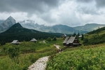 山