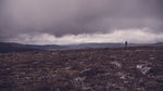 山