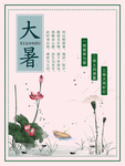 大暑海报