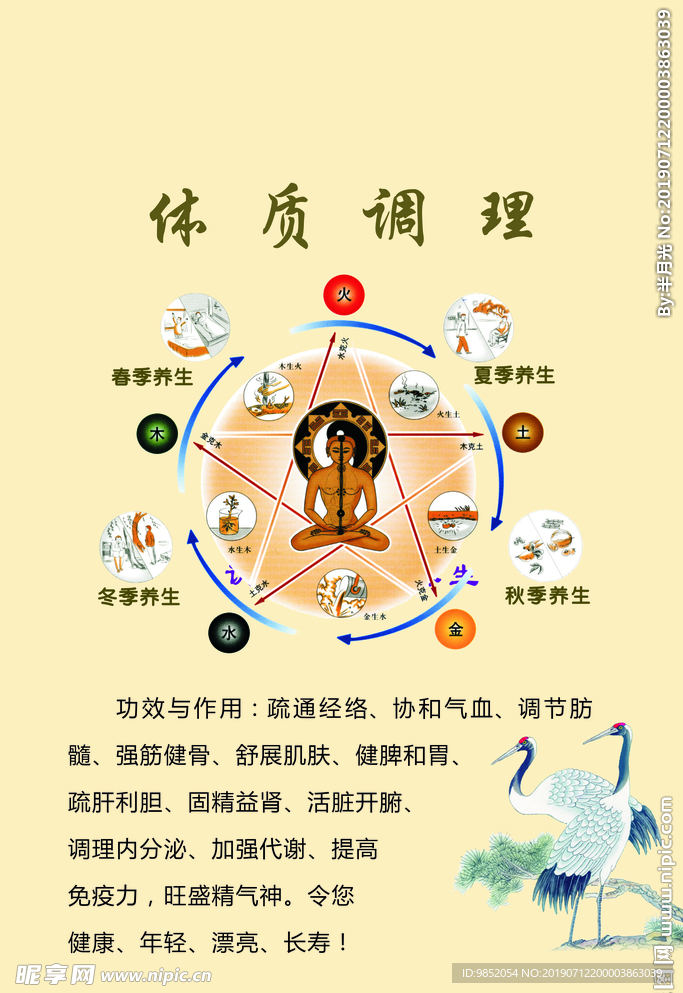 体质调理
