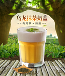 乌龙抹茶奶盖