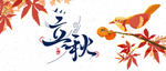 立秋
