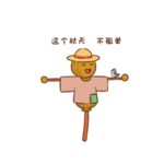 立秋