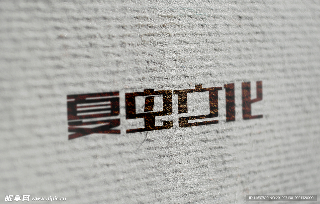 logo样机