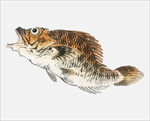 水墨画矢量