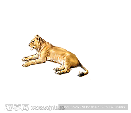 动物素材