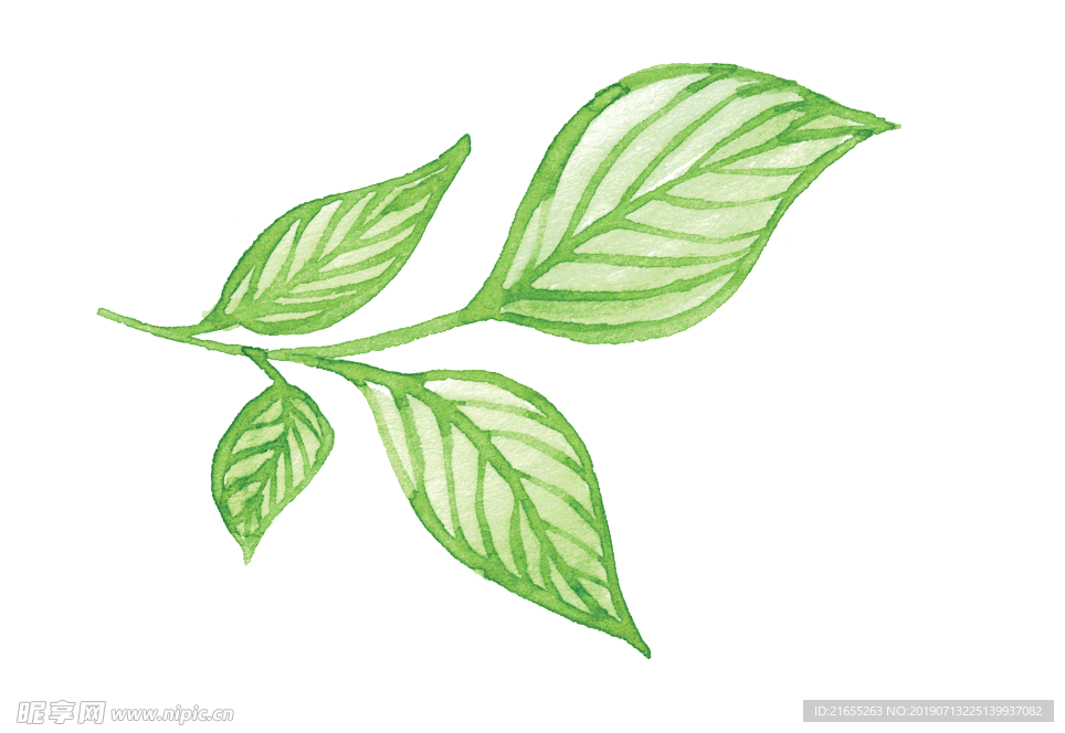 动物素材
