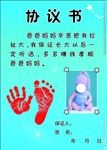 男宝宝协议书