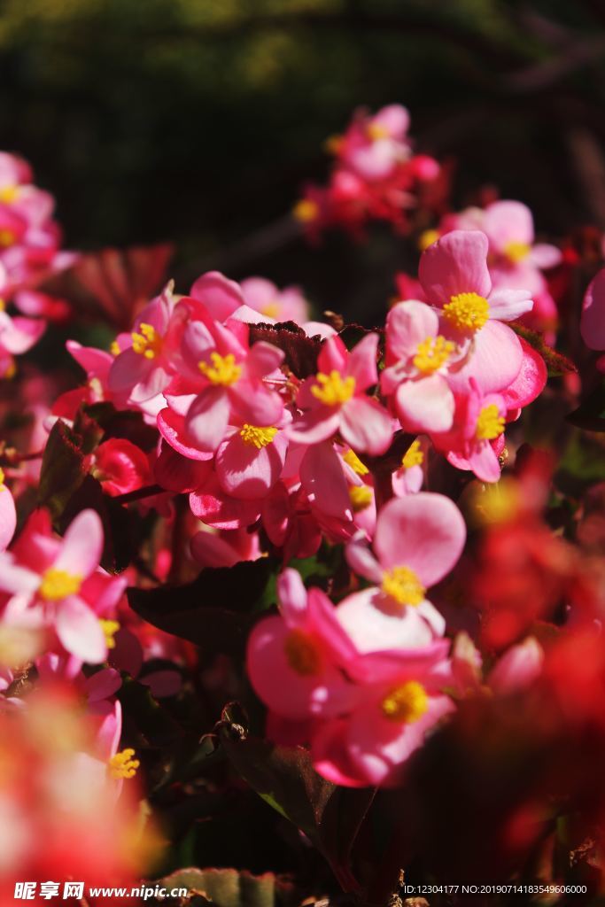 花