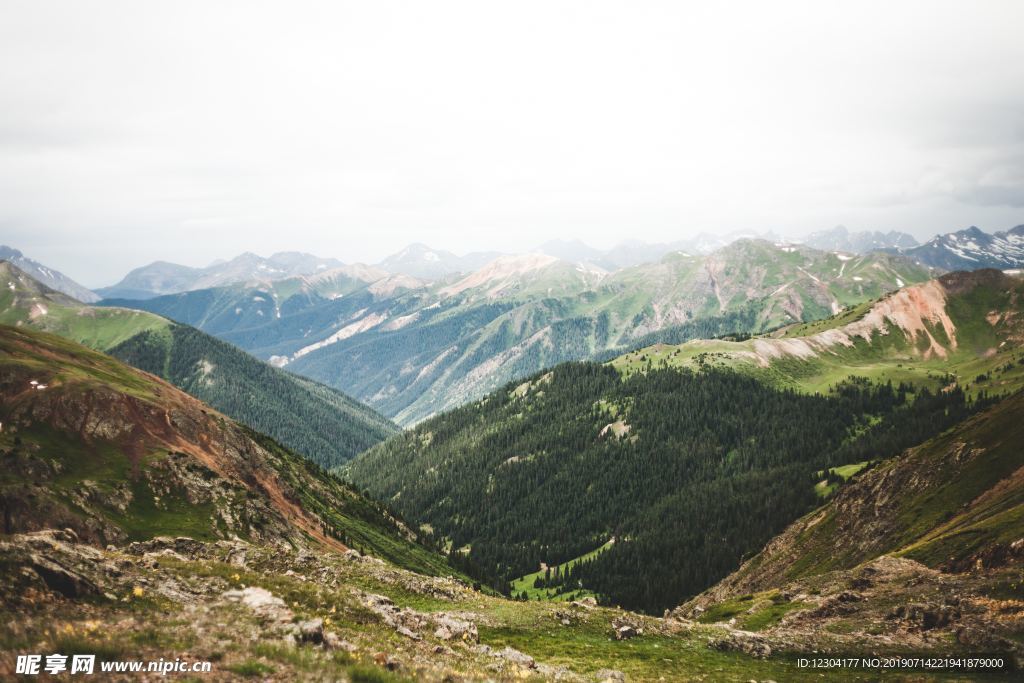 山