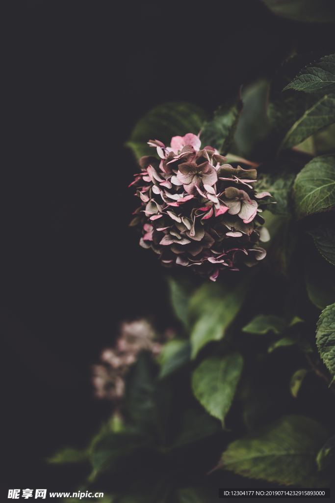 花