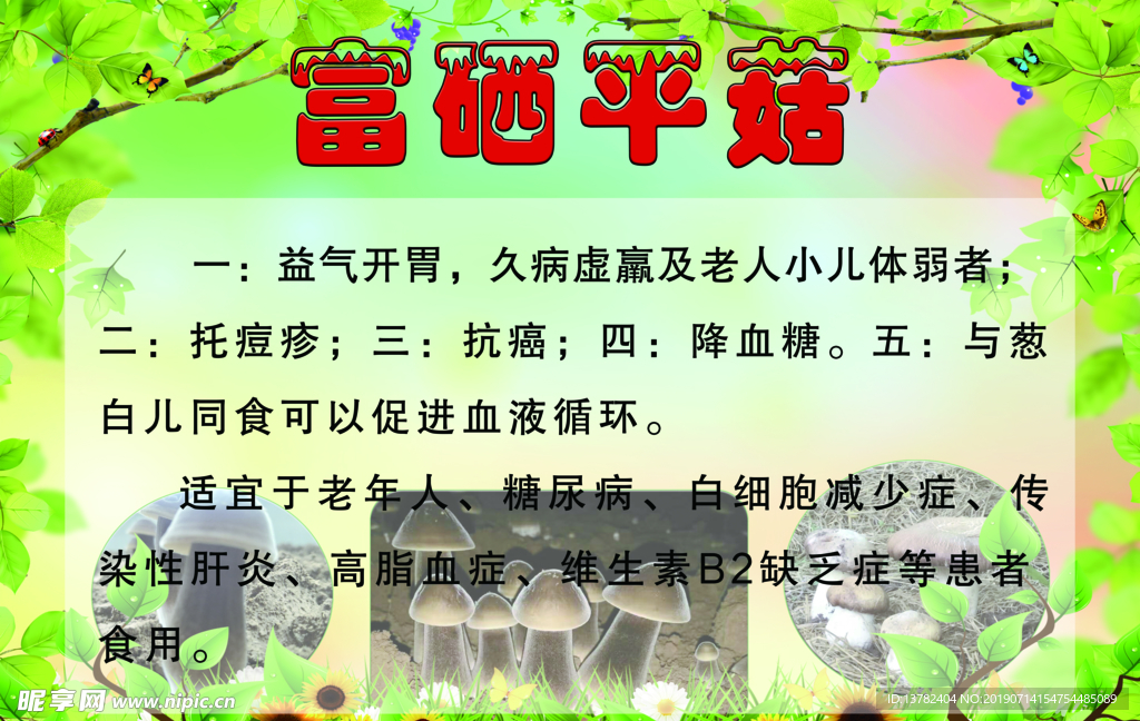 富硒 平菇 展板 介绍 说明