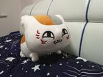 猫老师