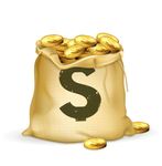 金袋子