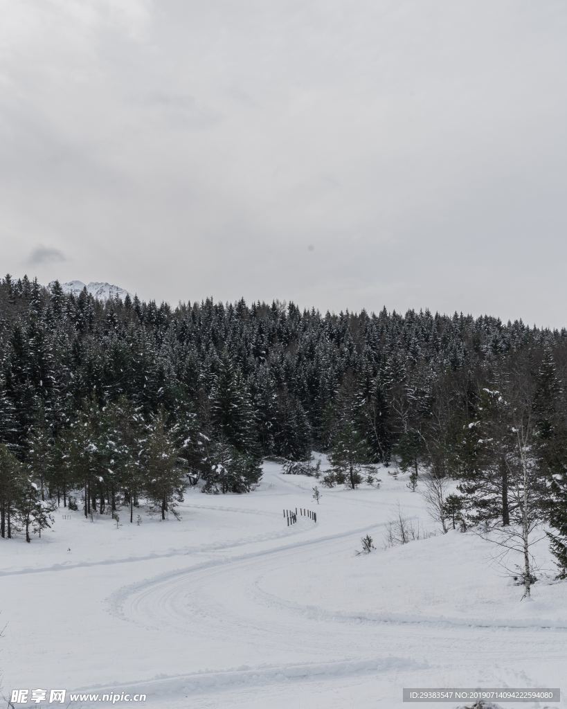 雪地森林风景