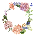 鲜花图片