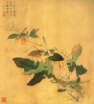 明朝汪中 古画植物花草