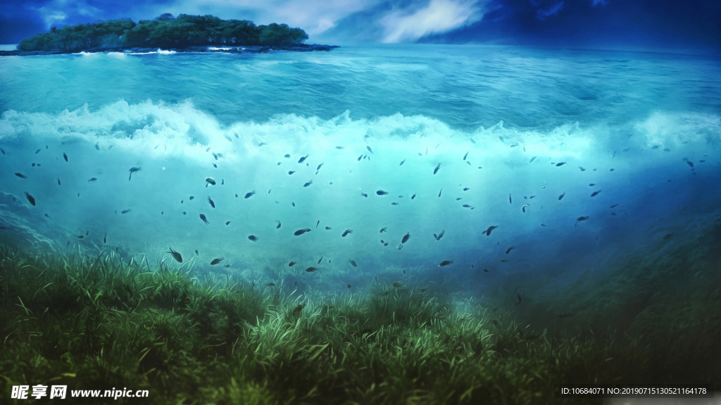 大海中的水草