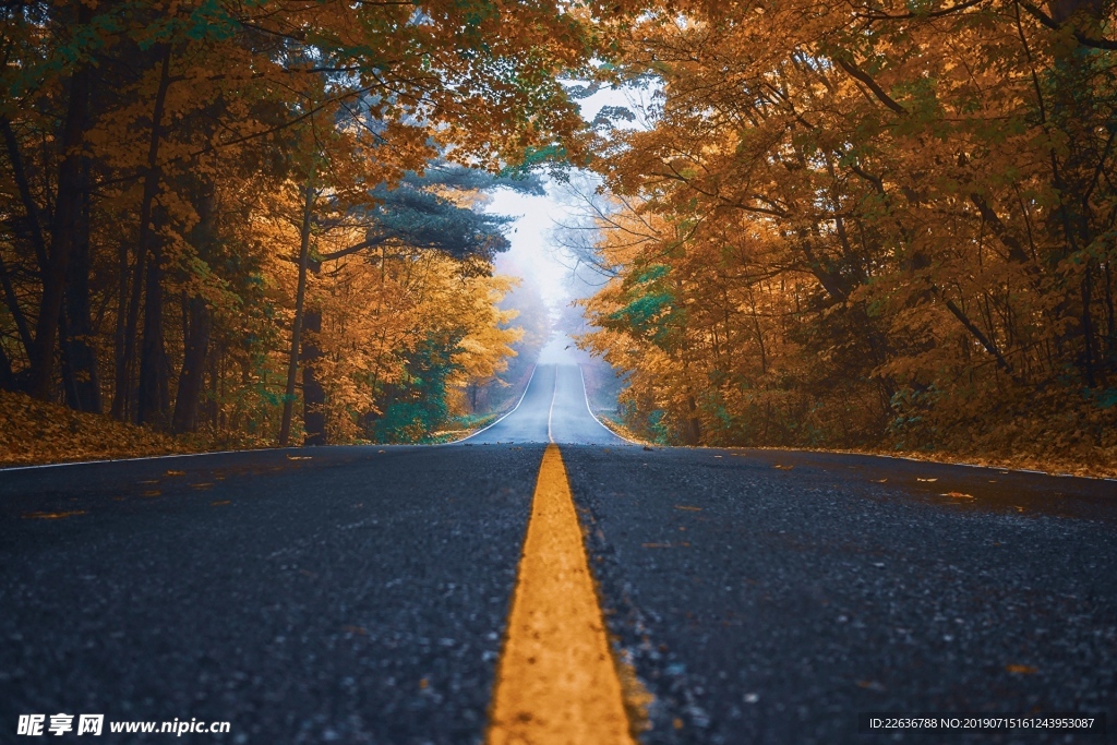 风景图片