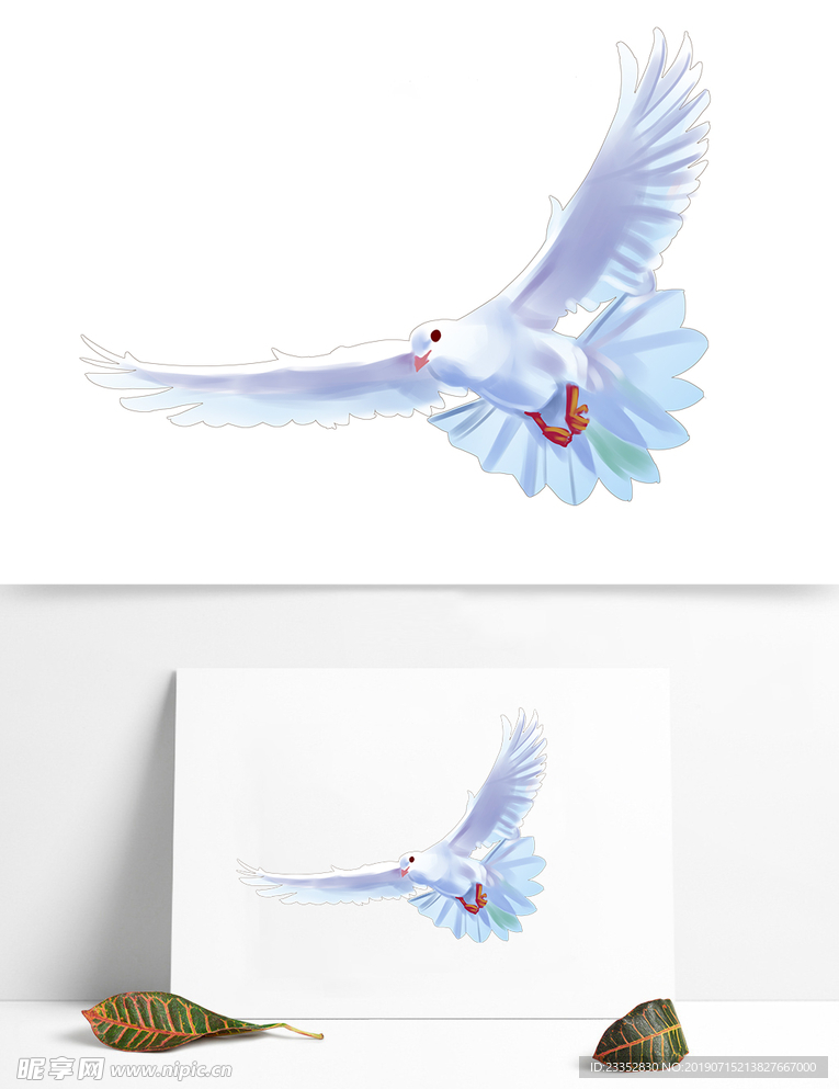 飞翔的鸽子手绘
