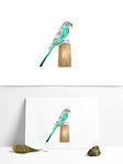 矢量鸟喜鹊