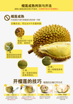 榴莲店教