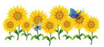 卡通蝴蝶太阳花向日葵