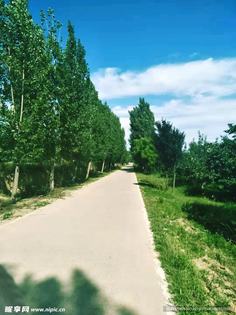 林间小路