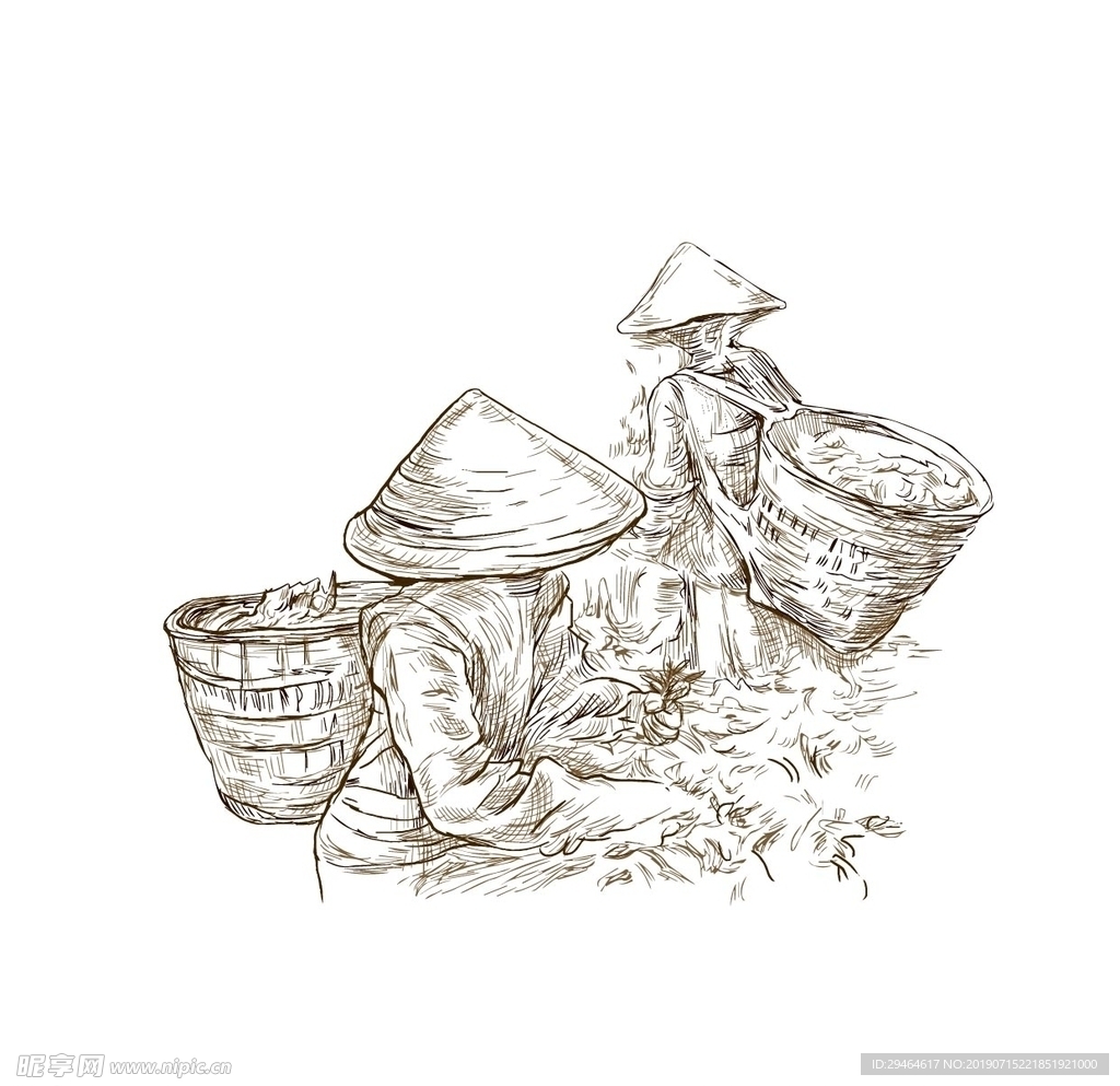 包装素材采茶女矢量