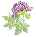 绣花